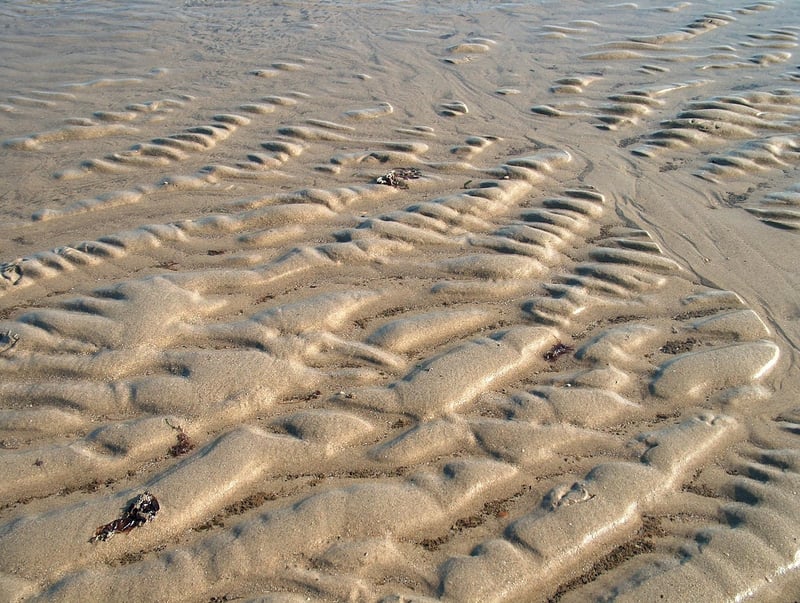 Dumpster Diving Finds